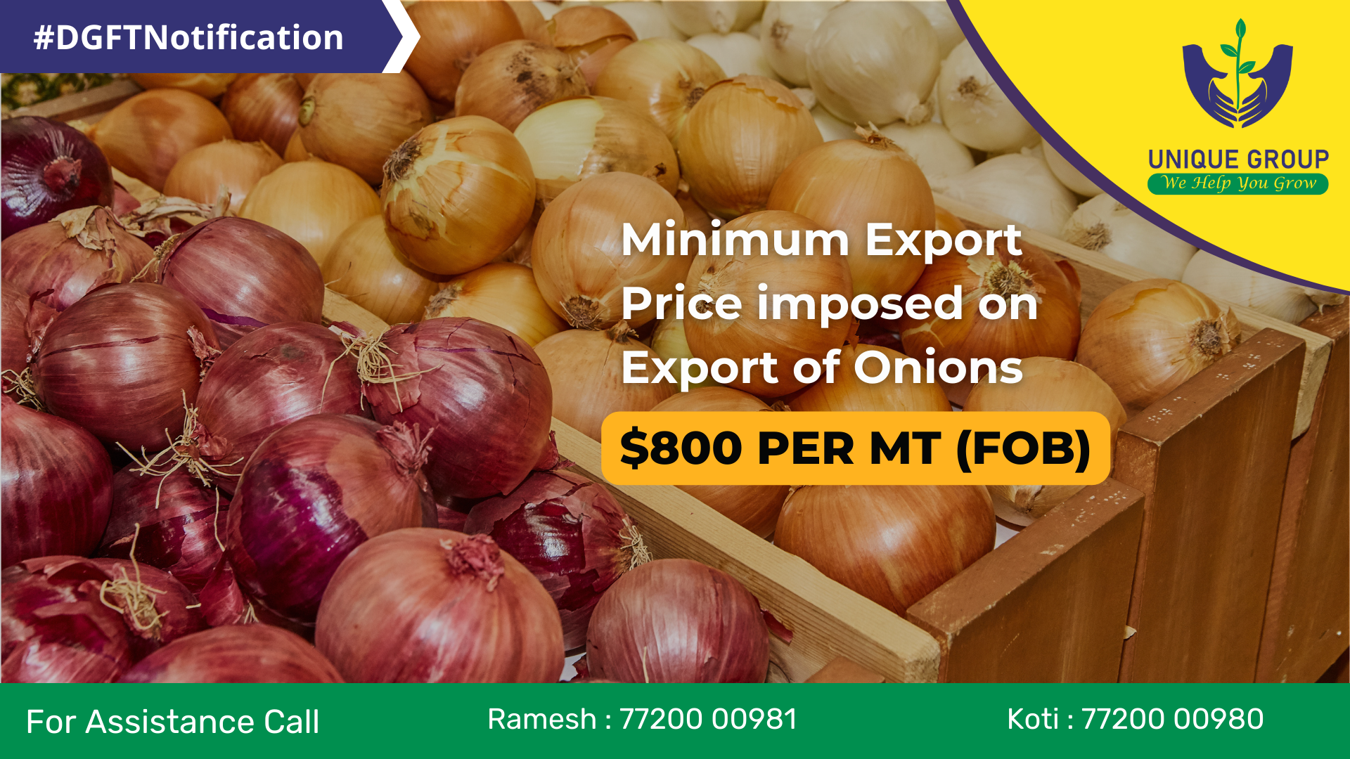 Onions Export