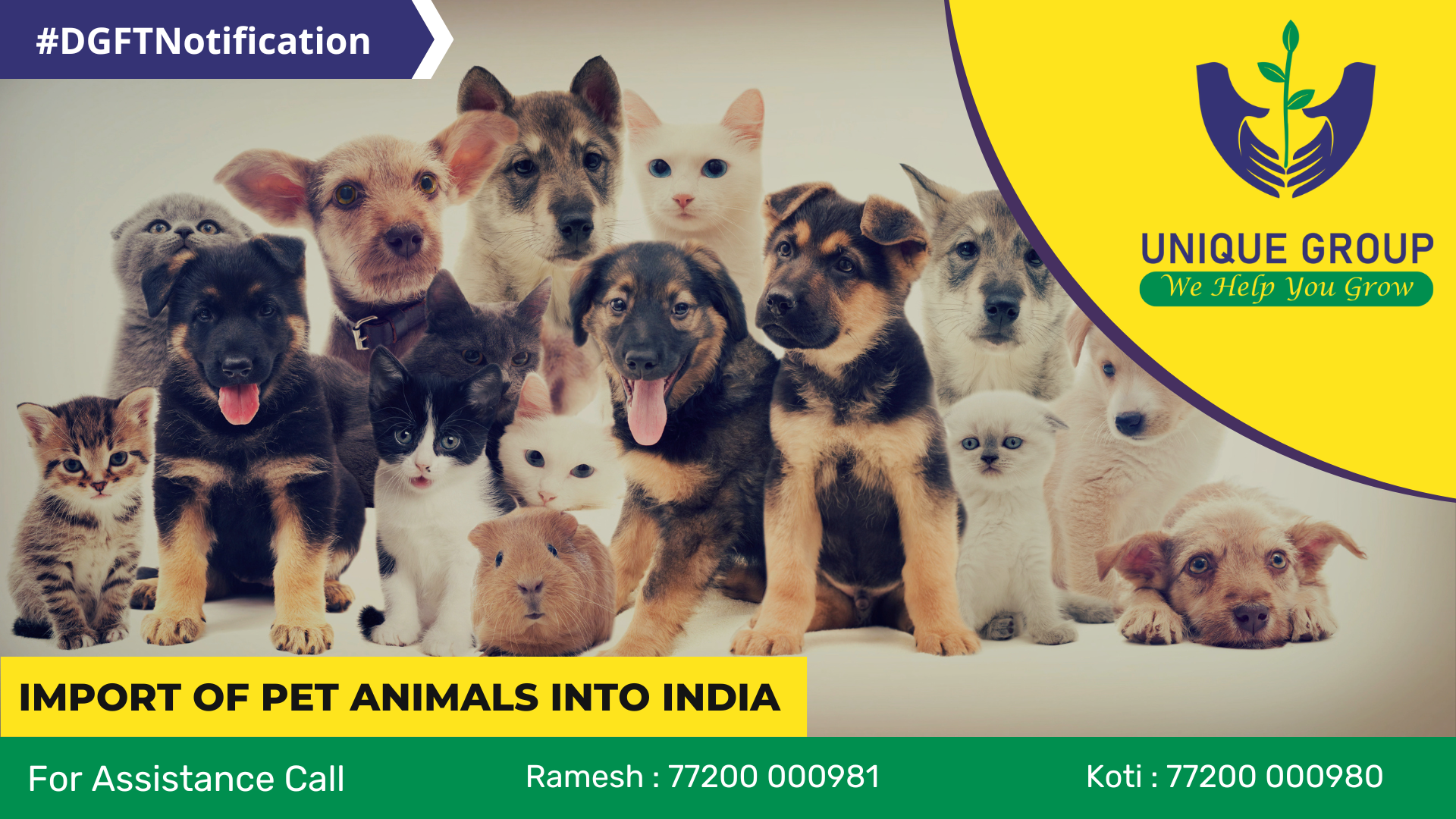 Import of Pet Animals into India 